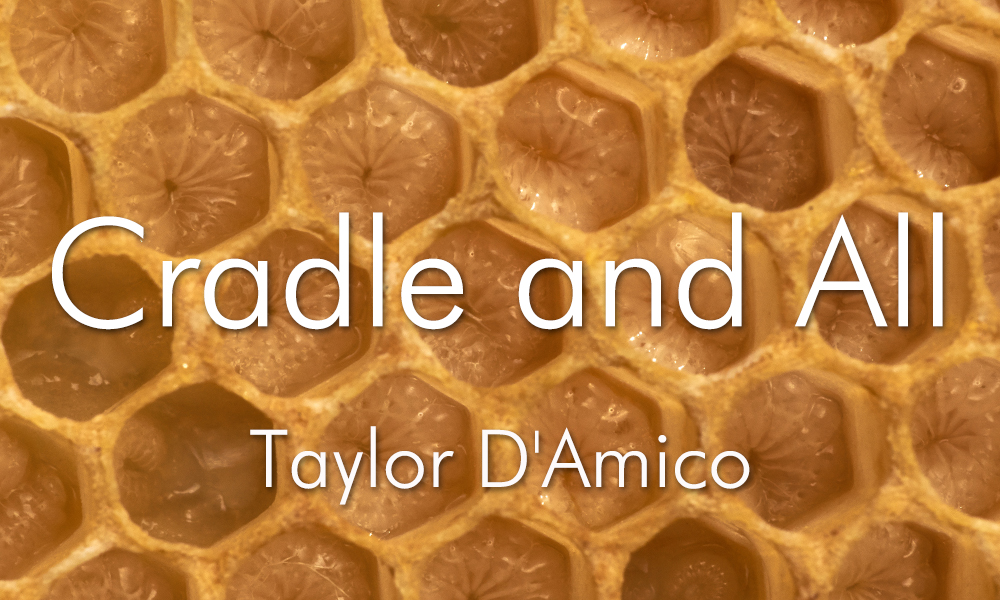 Poetry: Cradle and All by Taylor D'Amico